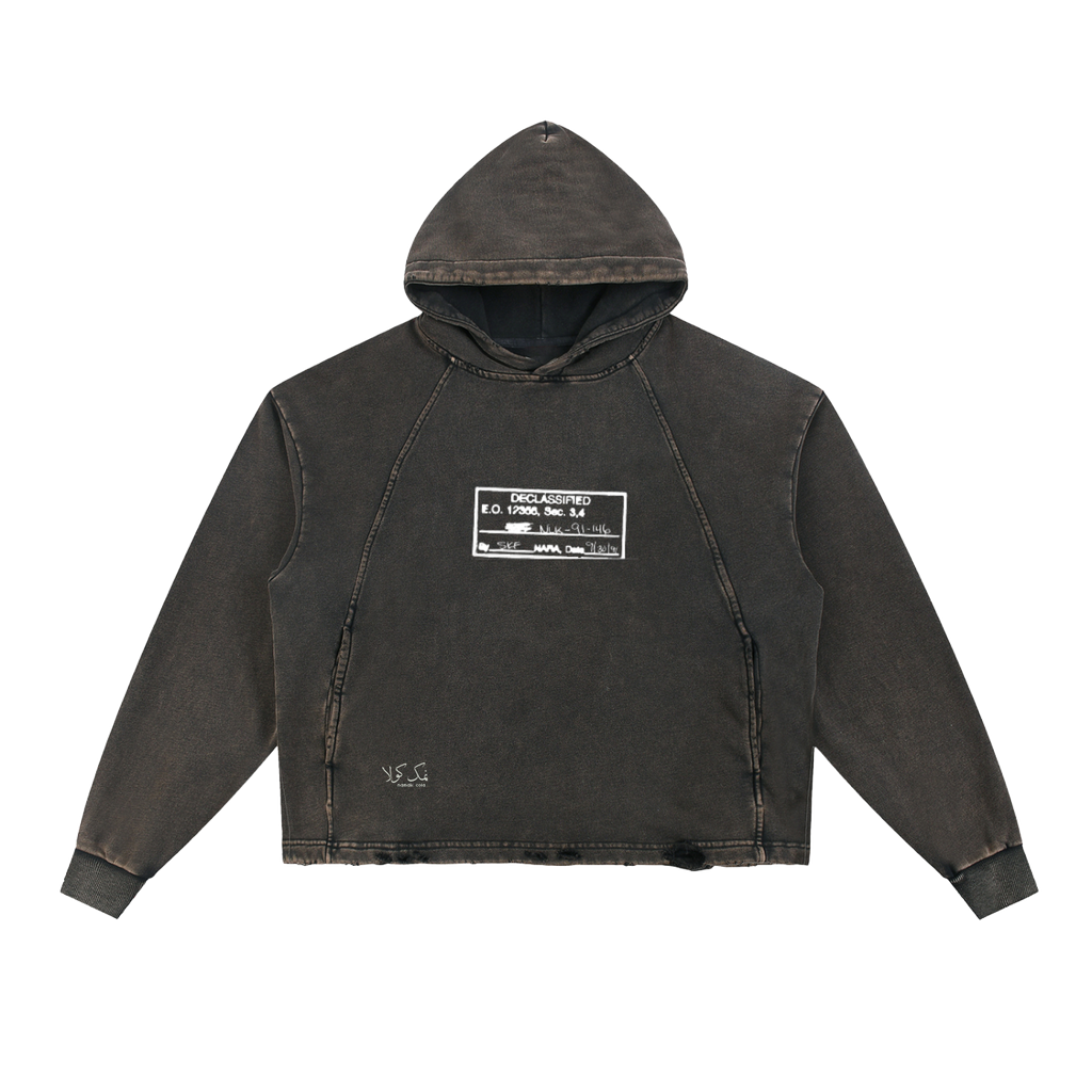 "White House Declassified" Vintage Hoodie